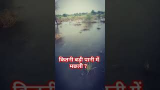 शांत माहोल गांव का 🙏🙏🙏 viralvideos ganvkavideo [upl. by Joo]