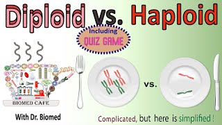 Diploid vs Haploid [upl. by Norma]