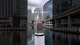 DARLING HARBOUR VIEWS darlingharbour sydney australia travel [upl. by Ammadis643]