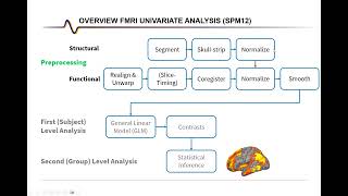 fMRI Analysis with SPM12 Structural Preprocessing with GUI [upl. by Fattal]