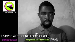 Programmes de Formations BTS en Génie Logiciel  Cameroun [upl. by Megdal901]