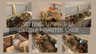 Hamster cage setup  Ikea detolf [upl. by Khalsa]