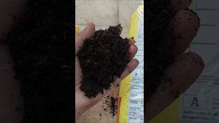 تربة البيتموس مفيدة للنباتاتPeat moss soil is beneficial for plants [upl. by Ardnasirhc786]