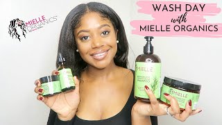 RELAXED HAIR WASH DAY WITH MIELLE ORGANICS ROSEMARY MINT COLLECTION  Review  Healthy Hair Junkie [upl. by Belldas647]