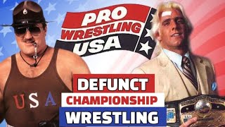 Pro Wrestling USA When Promotions Collide wwe aew nwa awa wrestling impact awf [upl. by Liauqram686]