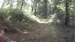 Beta Enduro 125 RR LC en forêt [upl. by Bar]