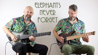 Haken Elephants Never Forget Guitar playthrough [upl. by Ynobe]