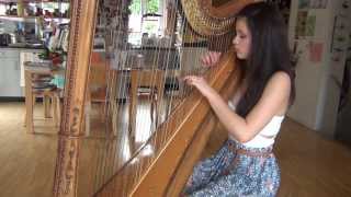 Let Her Go  Passenger Harp Cover [upl. by Casper436]