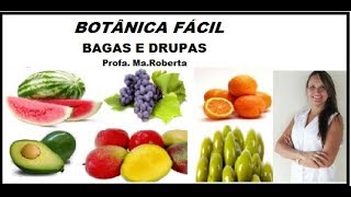 Botânica fácil Classificação de frutos carnosos Bagas e Drupas [upl. by Oiramej]