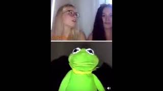 Kermit showing his Cucumber to Bryan on Omegle memes funny [upl. by Ardnekahs918]