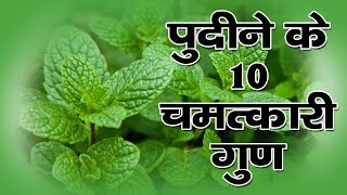 पुदीने के 10 चमत्कारी गुण  Benefits of Mint Leaves in Hindi [upl. by Aryhs]