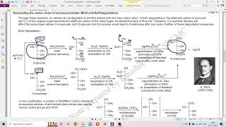 Chemistry of Carbohydrates Part5 [upl. by Jannel]