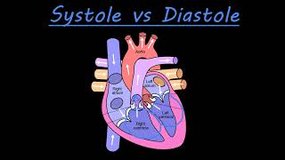 The difference between systole and diastole [upl. by Idrahs]