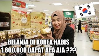 BELANJA BULANAN DI KOREA HABIS 1600000 [upl. by Nuahsyt560]