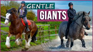 Gentle Giants  AwardWinning Film  Meet Amazing Draft Horses [upl. by Eissej428]