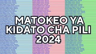 MATOKEO YA KIDATO CHA PILI 2024 NECTA FTNA RESULTS 2024HATUA ZA KUANGALIA MATOKEO YA FORM TWO [upl. by Zetniuq]