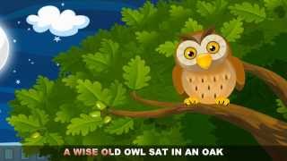 A Wise Old Owl with lyrics  Nursery Rhymes by EFlashApps [upl. by Llenrod72]