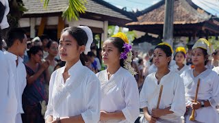 🇮🇩 BALI Experience The Vibrant Balinese Festival In Pererenan Badung 🌺 🇮🇩 [upl. by Eybbob]