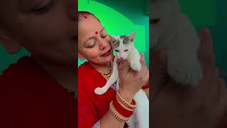 Cat lover ❤️🙏 shorts trending maa viralvideo cat ytshorts [upl. by Nalorac]