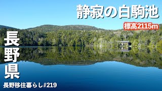 【長野移住】見事な鏡面の白駒池静寂のキャンプは最高すぎた｜白駒池｜麦草峠｜ドライブ｜田舎暮らし｜長野県｜4K [upl. by Kitchen]