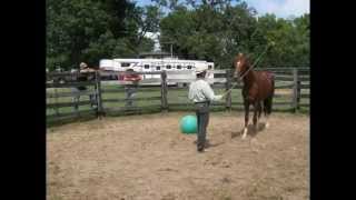 Secretariat  Choosing the Movie Horse [upl. by Cousins103]