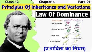 Mendels Law of Dominance Explained  Principle of inheritance and variation  Class 12 Biology [upl. by Briscoe]