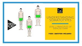 Understanding Somatotypes Level 2 Principles Revision [upl. by Gerge218]