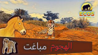 هاجمت قطيع الأحصنة 🐴｜Ecos la brea [upl. by Analah]