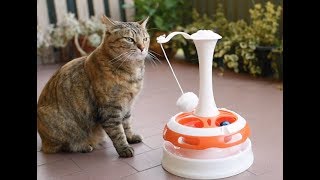 Ferplast Cat Toys a new concept in playing with your pet [upl. by Laehcor37]