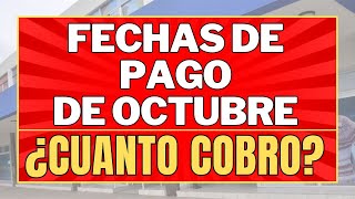 ✨FECHAS de PAGO Octubre 2024 Anses  CUANTO COBRO [upl. by Bumgardner]