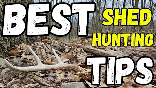 BEST Shed Hunting Tips PART 2 [upl. by Yelrebmyk]