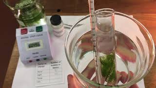 Pondweed  factors affecting the rate of photosynthesis [upl. by Ollayos]