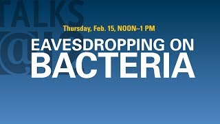 Talks12 Eavesdropping on Bacteria [upl. by Kimble]