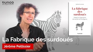 La Fabrique des surdoués  Jérôme Pellissier [upl. by Aissyla868]