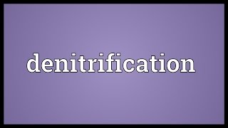 Denitrification Meaning [upl. by Earaj]