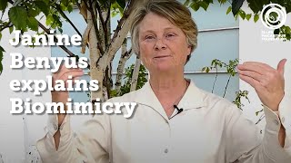 Janine Benyus explains Biomimicry [upl. by Acemaj940]