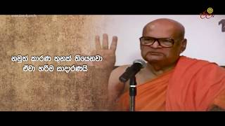 මස් මාංශ අනුභවය පිලිබඳ අපූරු විග්‍රහයක්  Kirinde Dhammananda Nayaka Thera [upl. by Haseefan]