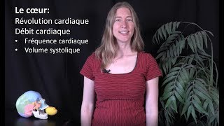 Le coeur révolution cardiaque et débit cardiaque [upl. by Derron]