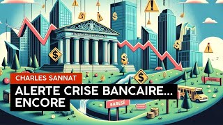 Alerte Nouvelle Crise Bancaire  Ce Que Vous Devez Savoir [upl. by Clava]