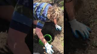 Installing Your EnsoPet Pet Poo and Waste Composter Into The Ground  Composting Australia [upl. by Haronid]