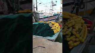 Fisheries Dockyard Bhatkal Karnatakaminivlog [upl. by Kama]