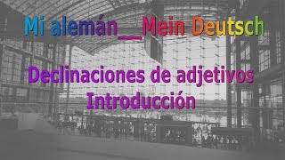 Mi alemán Mein Deutsch Declinaciones de adjetivos introducción [upl. by Kreindler883]