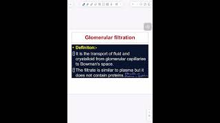 Glomerular filtration rate GFR شرح المستوى الثاني طب renal system [upl. by Ayama320]