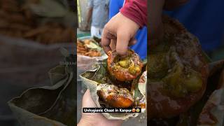 Unhygienic Chaat in Kanpur🥵😰 Indian Street Food [upl. by Baxy]