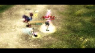 Silkroad betaeikon Update 2 Baronet pvp amp Damage test [upl. by Nohsram]