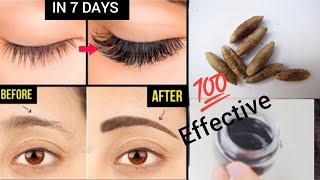 How To Grow Long Eyelashes And Eyebrows In Just 7 Days Homemade Eyelash Serum  Glow Tips By Saima [upl. by Nautna]