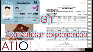 Licencia G1 ONTARIO en ESPAÑOL Documentos para convalidar experiencia [upl. by Aelahc921]