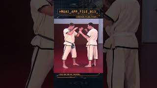 MUAI  Tech Application File 013 Berlin 1999 Pahuyuth Muai Martialarts [upl. by Hgielrak]