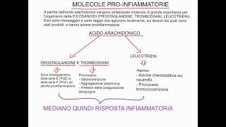 CORSO DI BIOCHIMICA  LEZIONE 37 DI 47  BIOSINTESI ACIDI GRASSI  PROSTAGLANDINE ETC  PARTE 5 [upl. by Barbee]