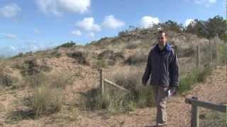 La dune  gestion fixation végétation biodiversité laise mer Pierre Attelée SaintBrévin trait [upl. by Biddle]